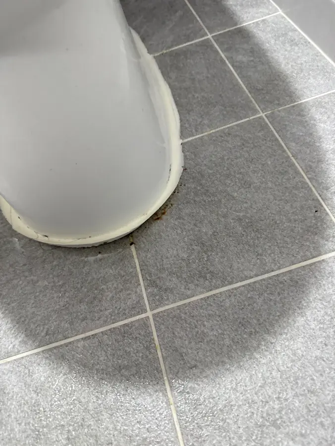 시흥 화장실 변기 받침 둘레를 앞쪽에서 확인한 모습